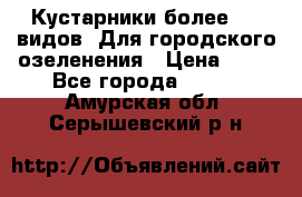 Кустарники более 100 видов. Для городского озеленения › Цена ­ 70 - Все города  »    . Амурская обл.,Серышевский р-н